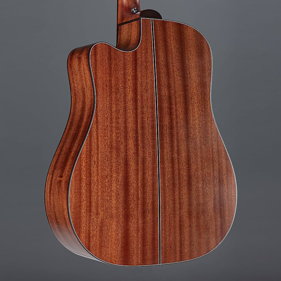 Amazon | Takamine タカミネ Pro Series 2 Dreadnought Cutaway